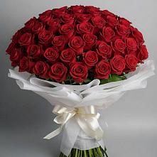 Букет 101 Красная роза Блэк Мэджик в Черкесске