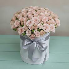 Цветочная композиция из Розы в шляпной коробке #REPLACE_PRED# Черкесске