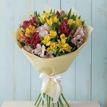 Букет цветов из:  Альстромерии в Черкесске