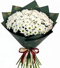 Букет цветов из:  Хризантемы в Черкесске