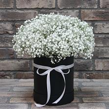 Цветочная композиция из Гипсофила в шляпной коробке в Черкесске